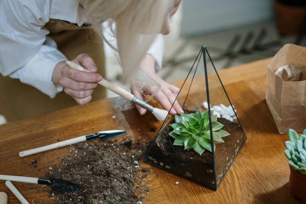 Learn how to build a succulent terrarium with a triangular prism glass design for home decor.